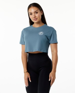 Atlantic Blue Alphalete Dynasty Crop Women's Shirts | 6538942-LE