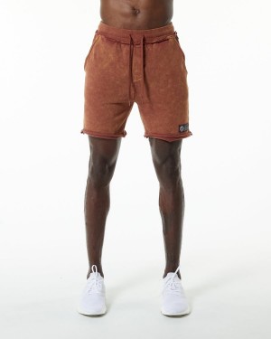 Bloodstone Alphalete Very Terry Short Men's Shorts | 2138970-ZY