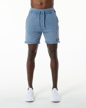 Celestial Blue Alphalete Very Terry Short Men's Shorts | 8140629-ZC