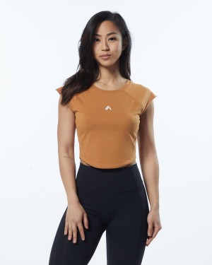 Chestnut Alphalete Velocity Crop Tee Women's Shirts | 9760238-YM