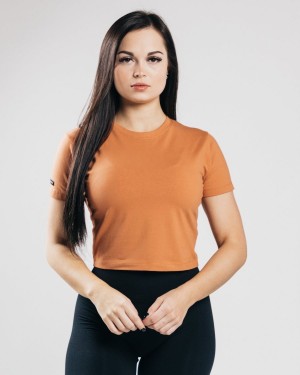 Clay Alphalete Essential Short Sleeve Crop Women's Shirts | 6087923-TE