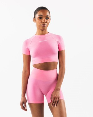 Cotton Candy Alphalete Amplify SS Crop Women's Shirts | 7690145-PY