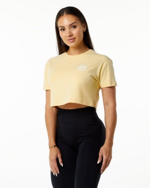 Daffodil Alphalete Dynasty Crop Women's Shirts | 4956031-IY