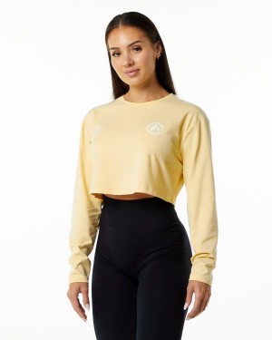 Daffodil Alphalete Dynasty LS Crop Women's Long Sleeve | 4039218-IC