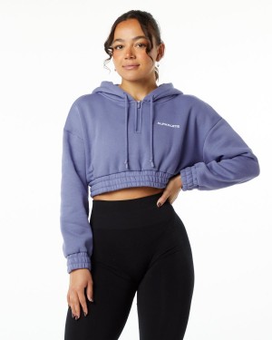 Digital Violet Alphalete Classic Capital Crop Hoodie Women's Hoodie | 6527389-NF