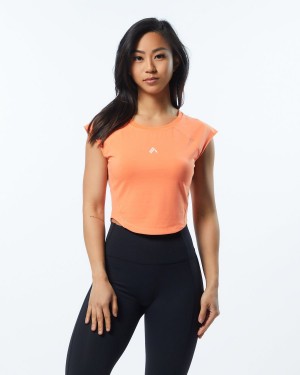 Electric Peach Alphalete Velocity Crop Tee Women's Shirts | 8120463-DL