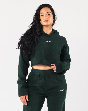 Evergreen Alphalete King Crop Hoodie Women's Hoodie | 8345179-RV