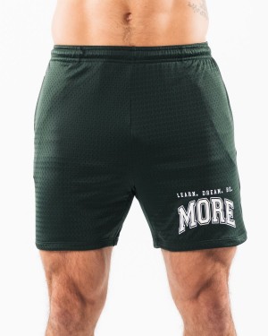 Evergreen Alphalete LDB More Mesh Short 6" Men's Shorts | 2380691-IA