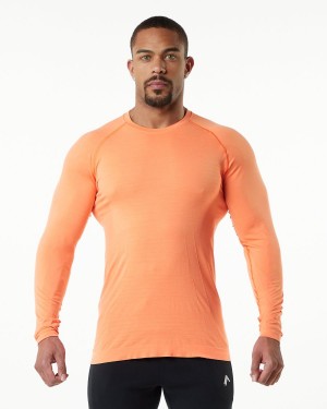 Faded Day Tripper Alphalete Hero Long Sleeve Tee Men's Shirts | 3651794-IY