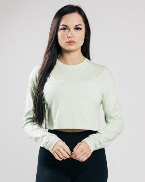 Frozen Spring Alphalete Outlined Long Sleeve Crop Women's Long Sleeve | 0728195-UO