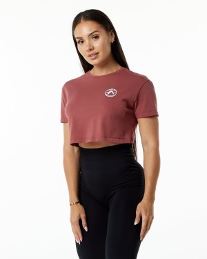 Gingerbread Alphalete Dynasty Crop Women's Shirts | 8243576-YX