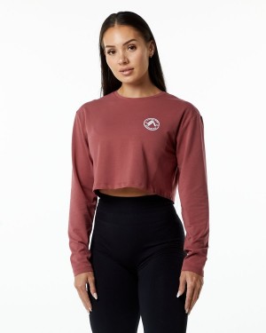 Gingerbread Alphalete Dynasty LS Crop Women's Long Sleeve | 9756280-DH