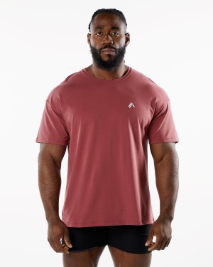 Gingerbread Alphalete Emblem Tee Men's Shirts | 7045928-PH