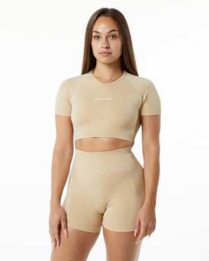 Hazelnut Alphalete Amplify V-Neck Crop Top Women's Shirts | 8524097-DA