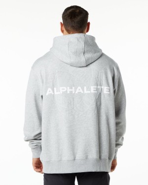 Heather Grey Alphalete Unity Hoodie Men's Hoodie | 4258690-PE