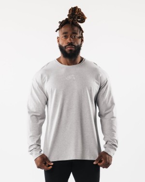 Heather Grey Alphalete Wolf Head LS Tee Men's Shirts | 6314058-AV