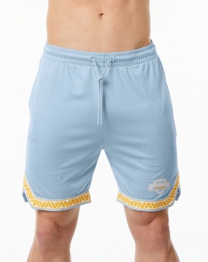 Light Blue Alphalete Varsity Basketball Short 9" Men's Shorts | 1982035-XW