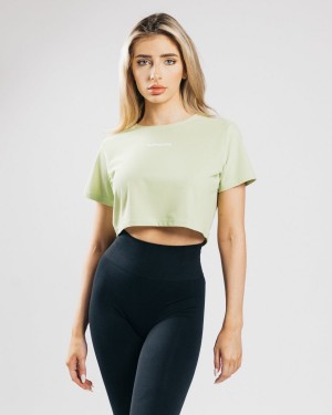 Light Green Alphalete Signature Mesh Crop Women's Shirts | 0832567-EB