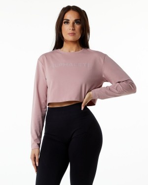 Mauve Alphalete Core LS Crop Women's Long Sleeve | 3506724-GT