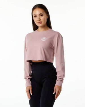 Mauve Alphalete Dynasty LS Crop Women's Long Sleeve | 1529760-VH