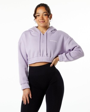 Misty Lilac Alphalete Classic Capital Crop Hoodie Women's Hoodie | 5974386-SL