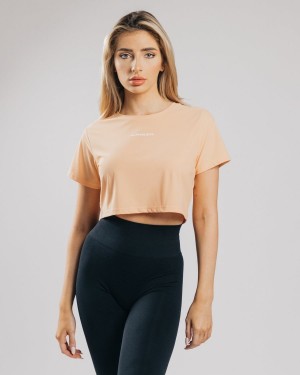 Orange Frost Alphalete Signature Mesh Crop Women's Shirts | 3801945-OX