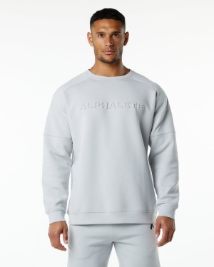 Oyster Grey Alphalete ELMTS Crewneck Sweater Men's Jackets | 0195768-RM