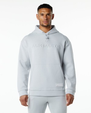 Oyster Grey Alphalete ELMTS Hoodie Men's Hoodie | 8302456-DC