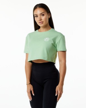 Pistachio Alphalete Dynasty Crop Women's Shirts | 3278096-DK