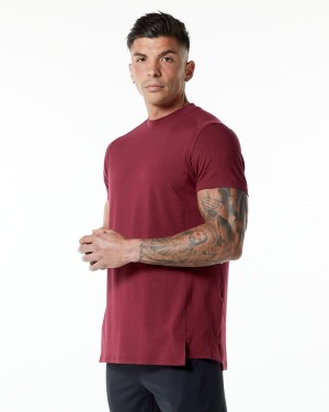 Ruby Red Alphalete Evo Tee Men's Shirts | 7452091-XE