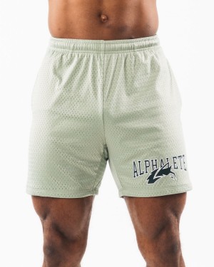 Sage Alphalete Wolf Head Mesh Short 6" Men's Shorts | 4876021-TA