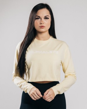 Sea Salt Alphalete Outlined Long Sleeve Crop Women's Long Sleeve | 7934608-AX