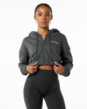 Smoke Alphalete Classic Capital Full-Zip Crop Jacket Women's Jackets | 3754682-DM