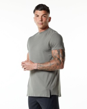 Stone Grey Alphalete Evo Tee Men's Shirts | 0938741-DT