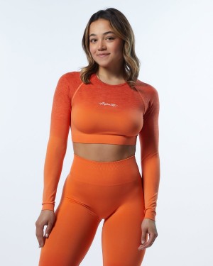 Strawberry Alphalete Ombre Amplify LS Crop Women's Long Sleeve | 7081462-YX