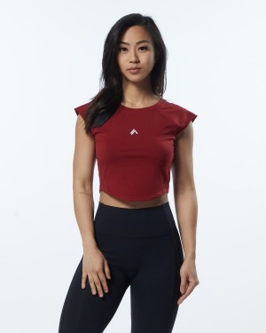 Tartan Red Alphalete Velocity Crop Tee Women's Shirts | 0625149-DF