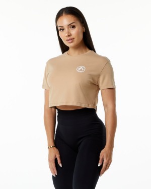 Taupe Alphalete Dynasty Crop Women's Shirts | 6985013-WT