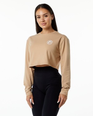 Taupe Alphalete Dynasty LS Crop Women's Long Sleeve | 4958762-XR