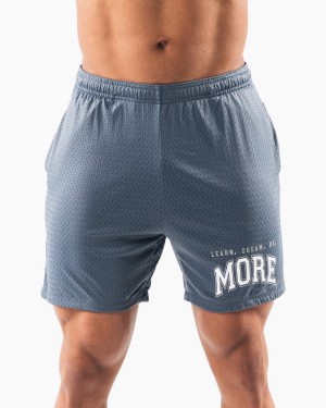 Whale Blue Alphalete LDB More Mesh Short 6” Men's Shorts | 6235407-AL