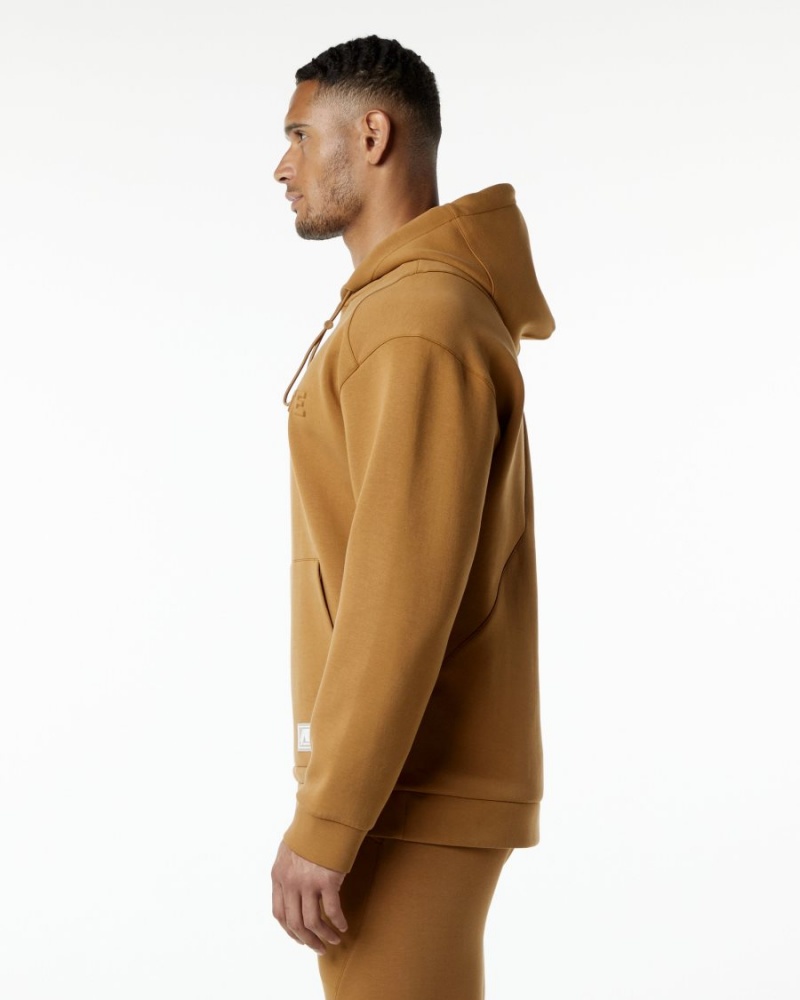 Almond Alphalete ELMTS Hoodie Men's Hoodie | 3756029-ZB