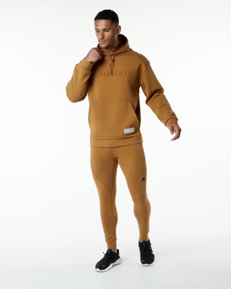 Almond Alphalete ELMTS Hoodie Men's Hoodie | 3756029-ZB