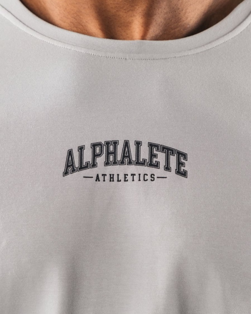 Athletic Grey Alphalete AA Paisley Print LS Tee Men's Shirts | 0948371-UA