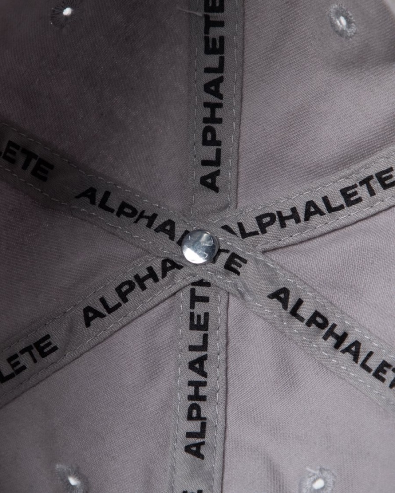 Athletic Grey Alphalete Collegiate Vintage Cap Women's Accessories | 9506437-UD