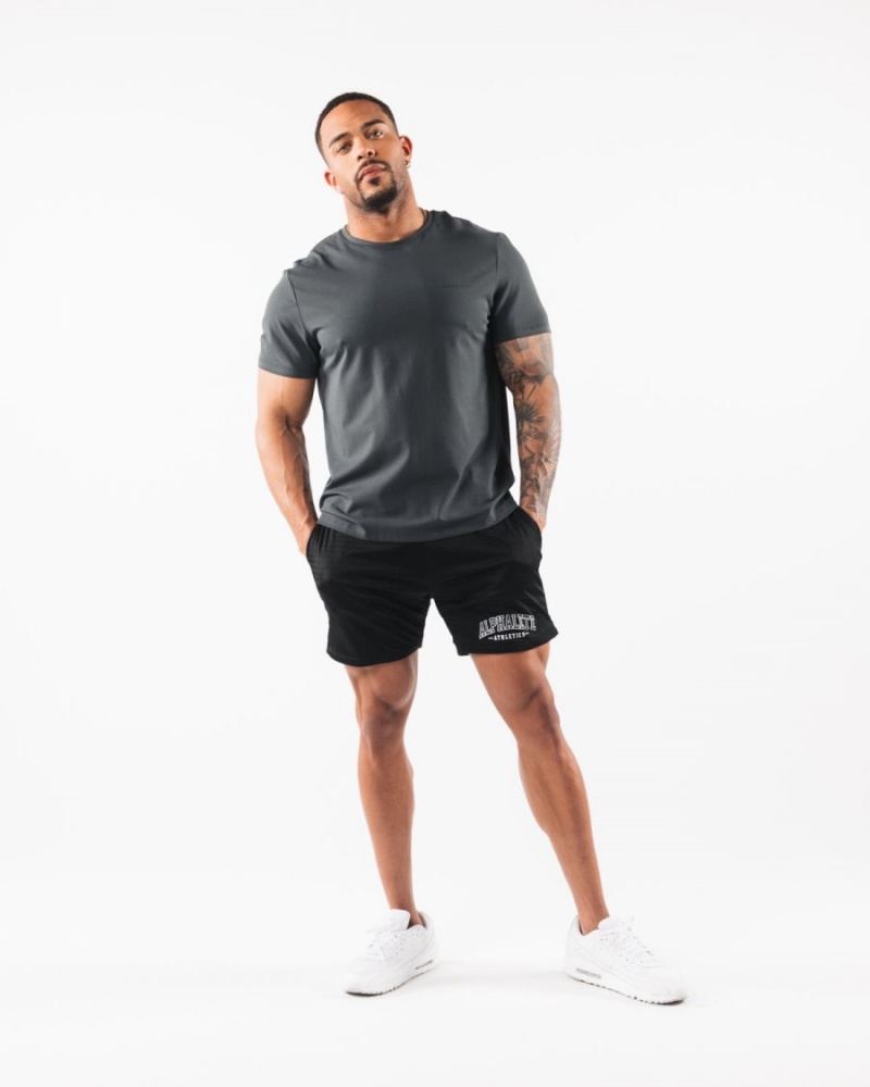 Black Alphalete AA Mesh Short 6” Men's Shorts | 2796430-TI