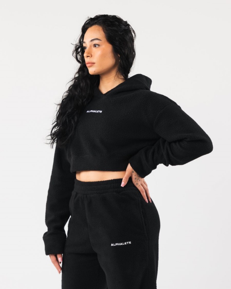 Black Alphalete King Crop Hoodie Women's Hoodie | 0159284-LK