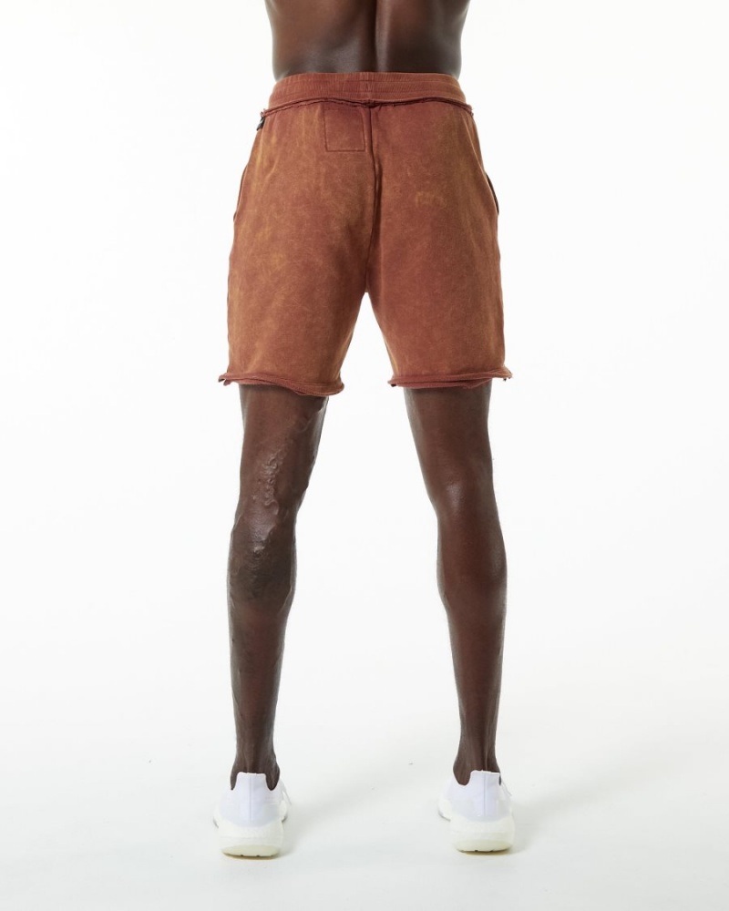 Bloodstone Alphalete Very Terry Short Men's Shorts | 2138970-ZY