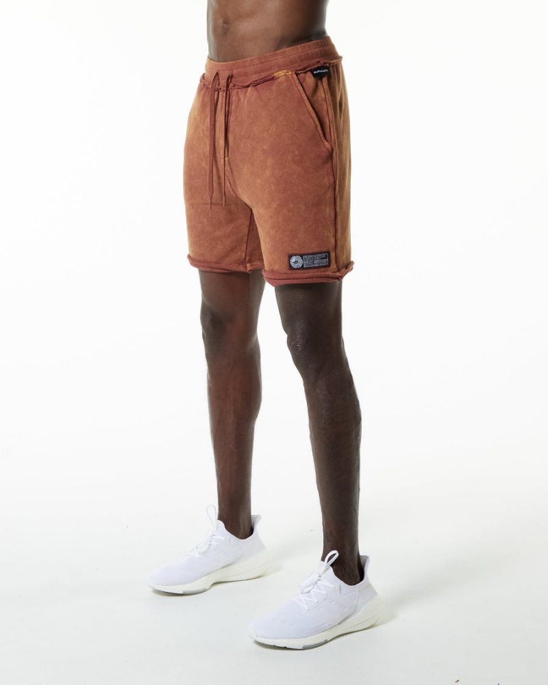 Bloodstone Alphalete Very Terry Short Men's Shorts | 2138970-ZY