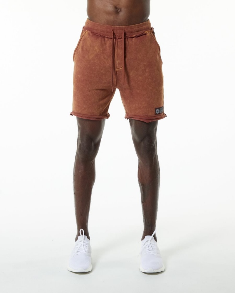 Bloodstone Alphalete Very Terry Short Men\'s Shorts | 2138970-ZY