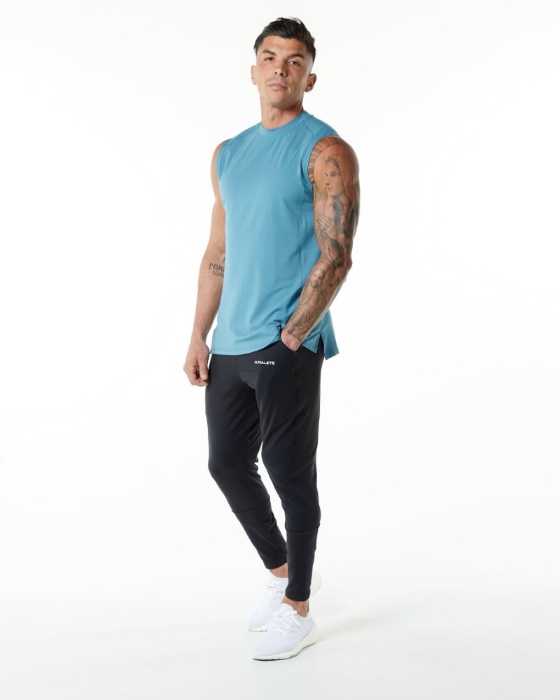 Blue Lagoon Alphalete Evo Tank Men's Tanks | 7165904-HX