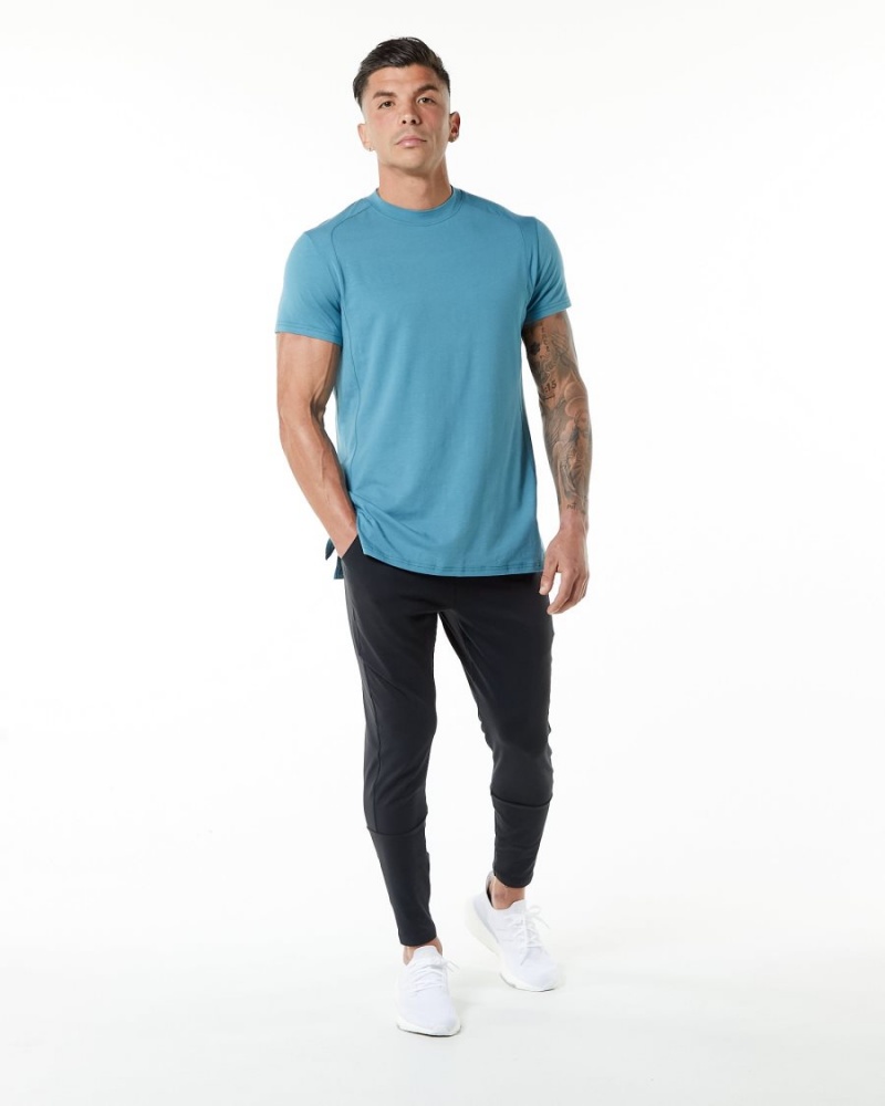 Blue Lagoon Alphalete Evo Tee Men's Shirts | 9018726-FO